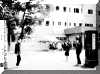 wpe1C.gif (112639 oCg)