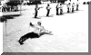 wpe30.gif (51713 oCg)