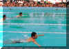 wpe3E.jpg (20030 oCg)